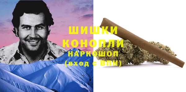 прущая мука Богородицк