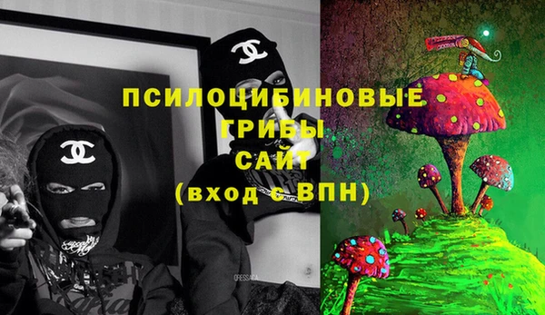 индика Михайловск